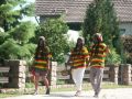 PICT3392