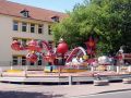 PICT0246