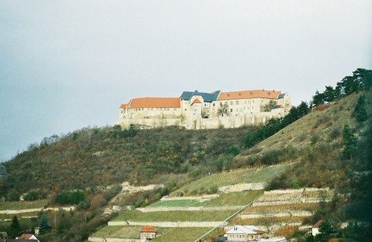 Click for next image