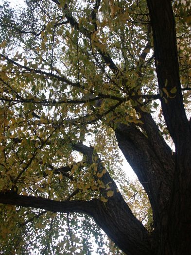 Click for next image