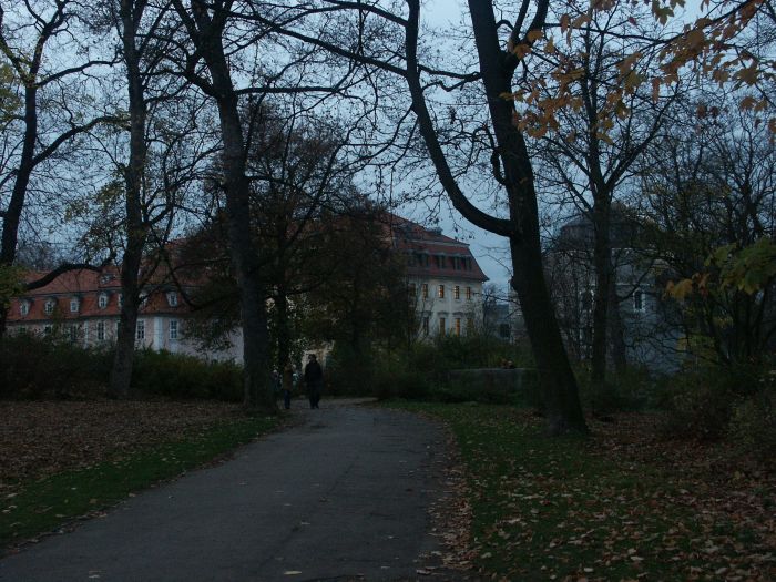 Click for next image