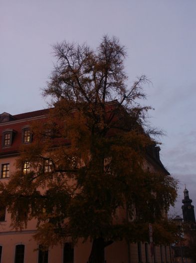 Click for next image