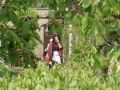 PICT9521