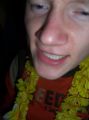 tropical034