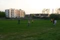 bois_d_arcy_06_013