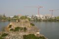 bois_d_arcy_06_043