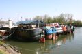 bois_d_arcy_06_069