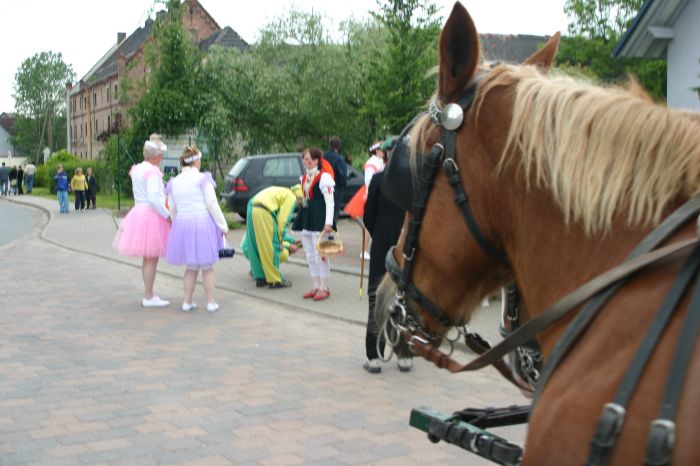 Click for next image