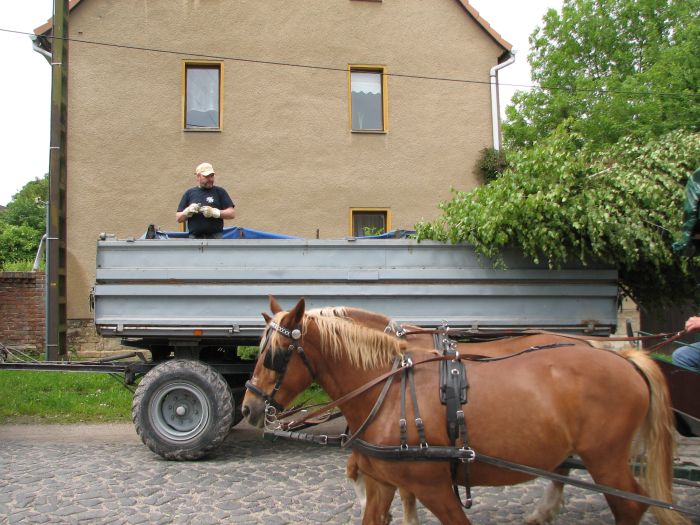 Click for next image