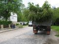 pfingsten_06_sa_007