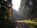rennsteig_008