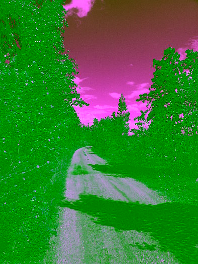 Click for next image