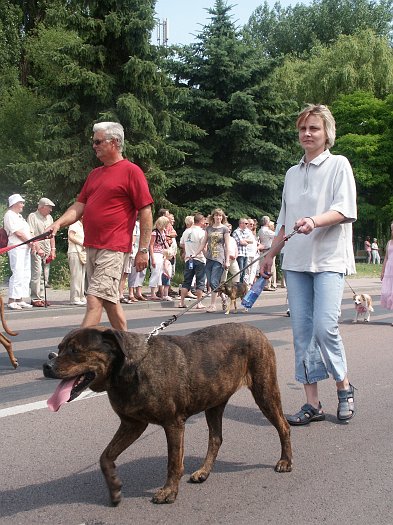 Click for next image