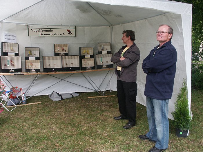 Click for next image